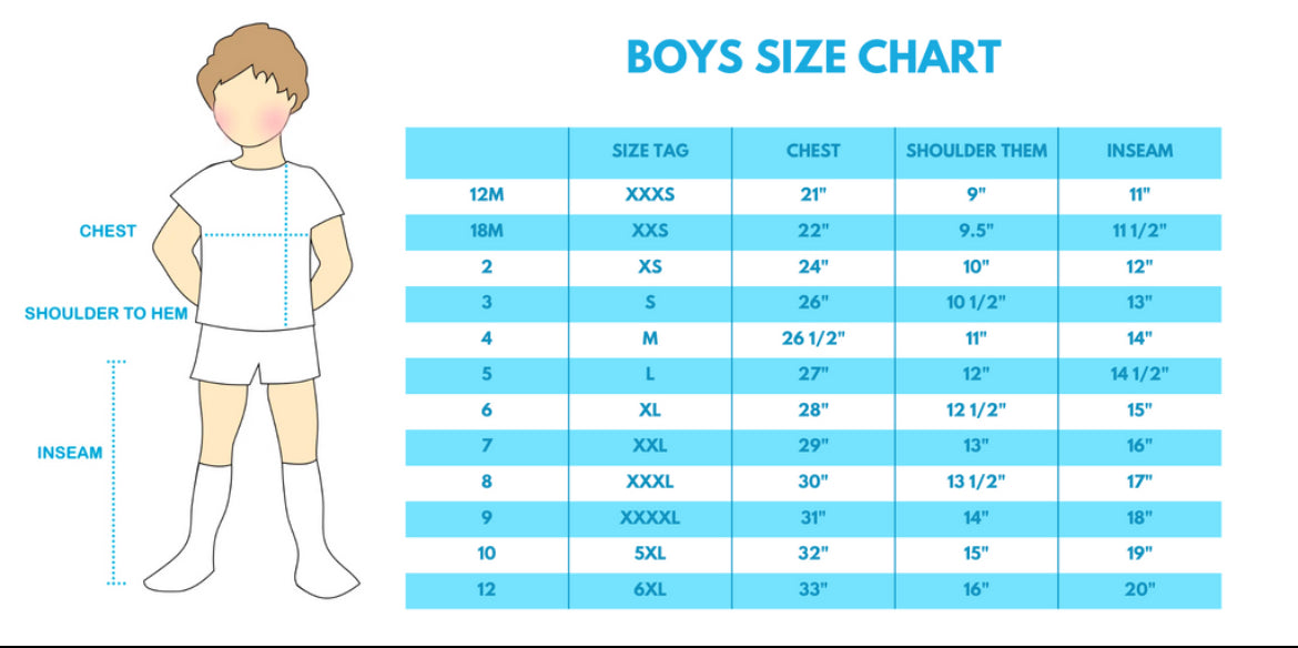 Boy’s Blue Bunny Embroidered Smocked Short Set