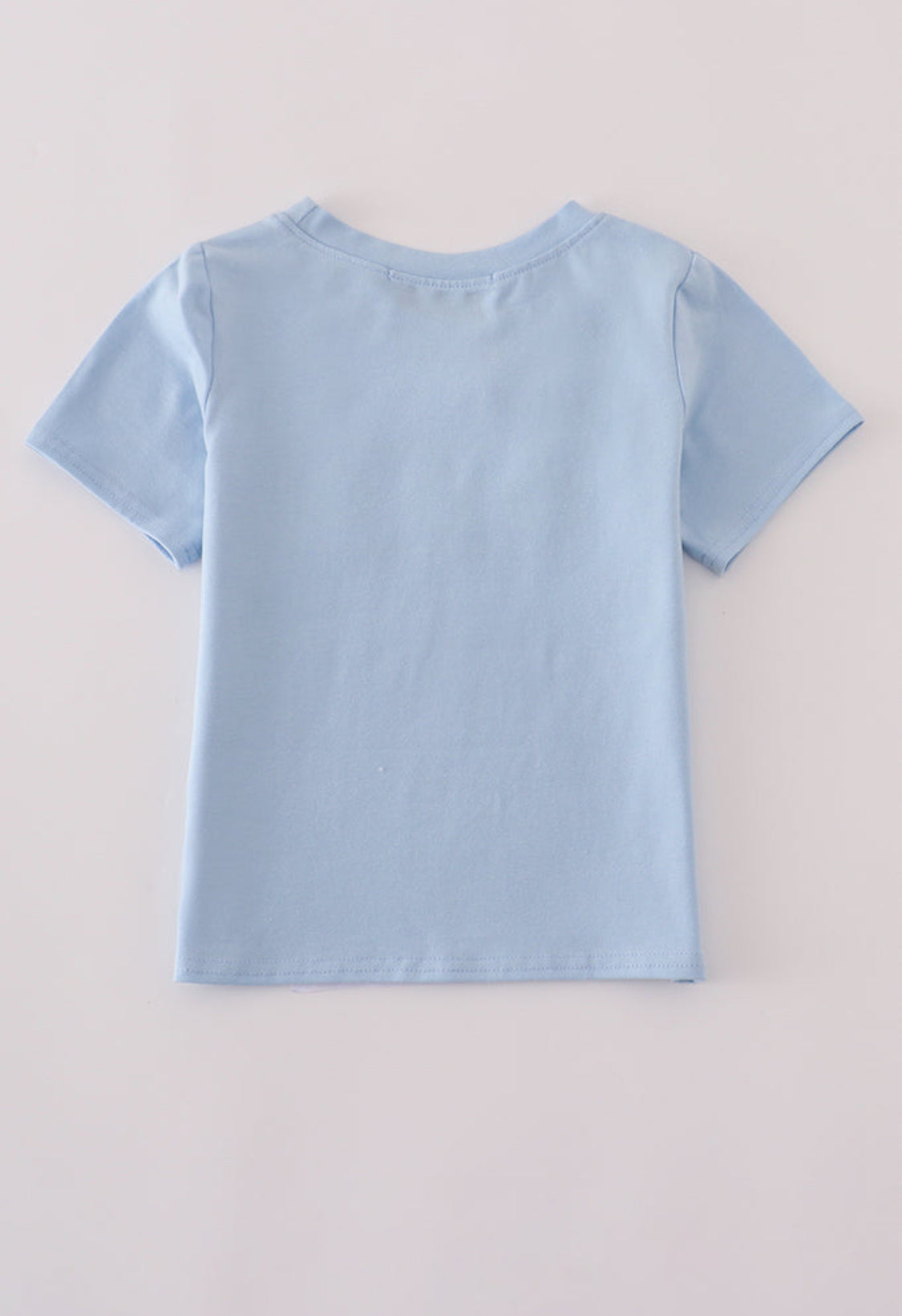 Blue Embroidery Unisex Top