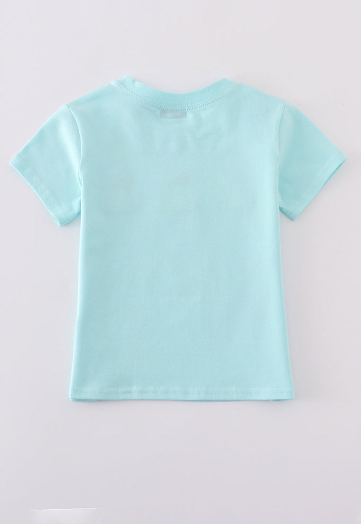 Boy’s Premium Mint Bunny Embroidered Top