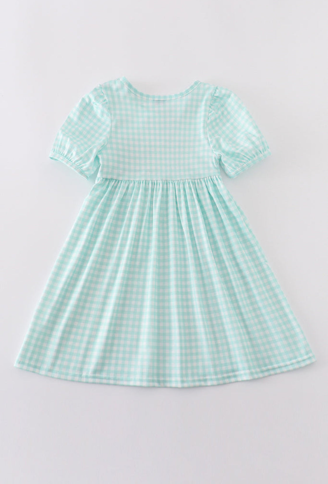 Blue Princess Embroidery Gingham Girl’s Dress
