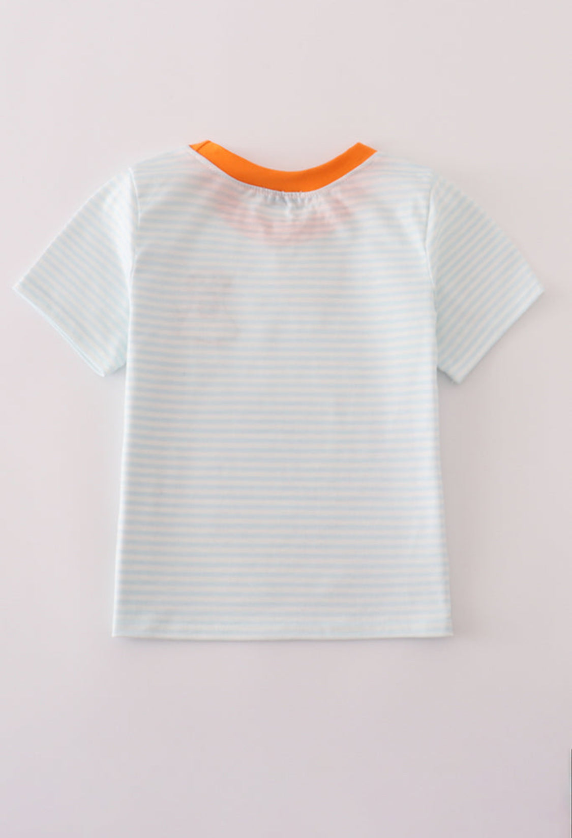 Blue Puppy Pumpkin Embroidery Stripe Boy’s Top