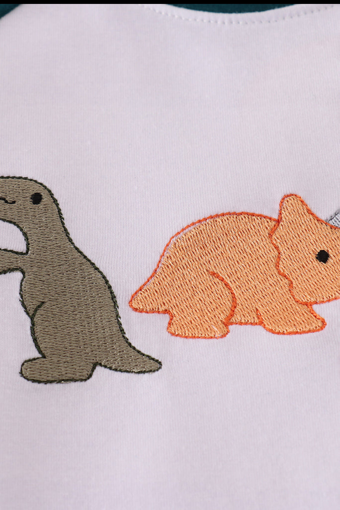Blue Dinosaur Embroidery Boy’s Top