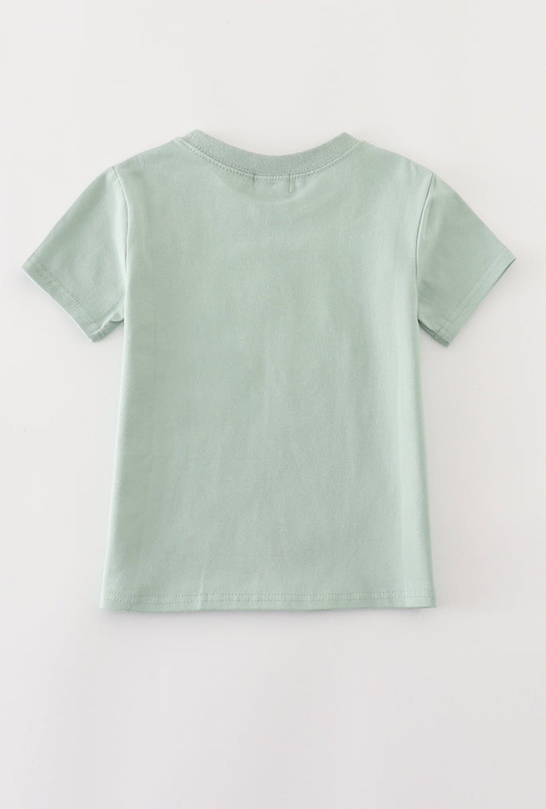 Sage Truck Pumpkin Embroidery Boy’s Top