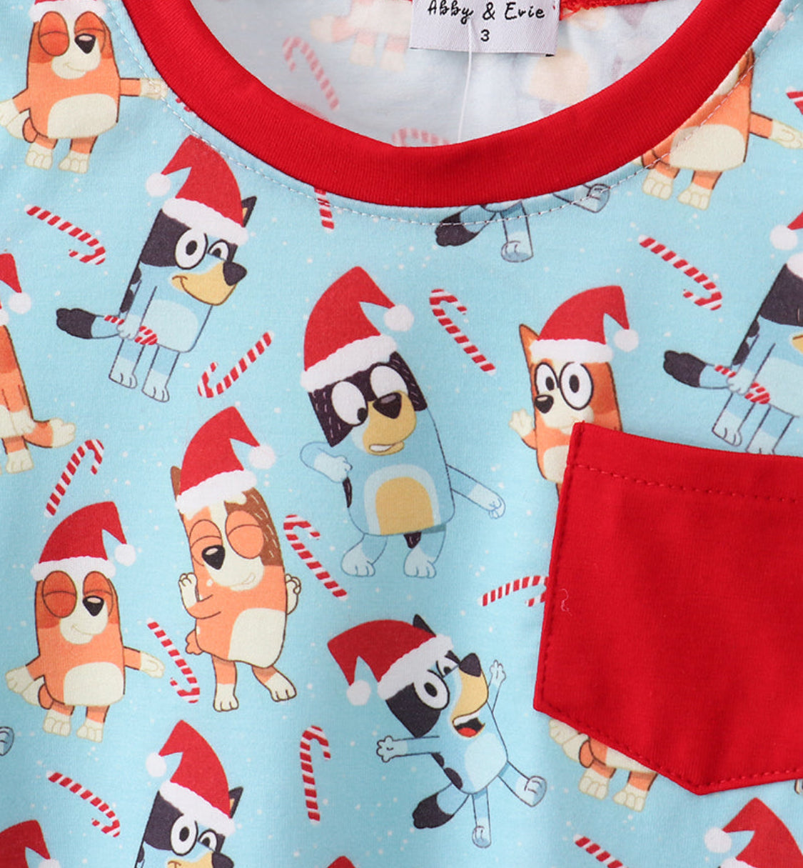 Blue Christmas Character Print Pajamas Boy’s Pants Set