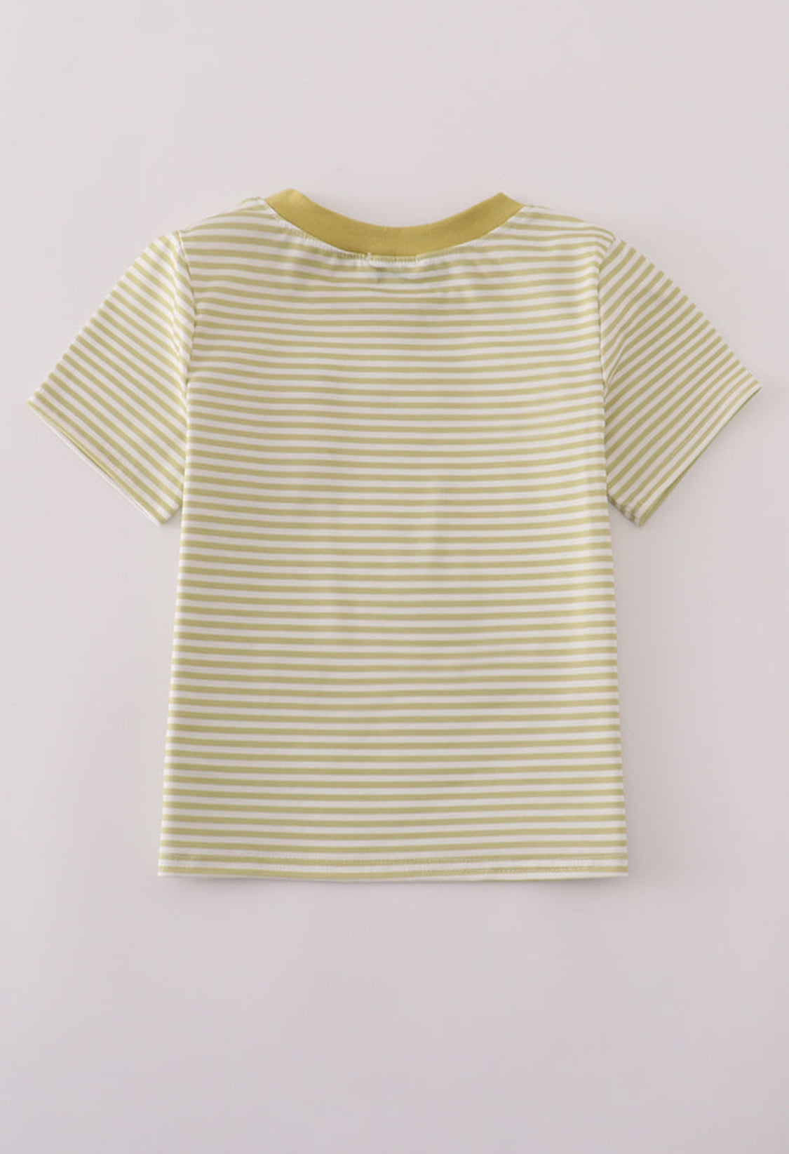 Green Pinecone Embroidery Stripe Boy’s Top