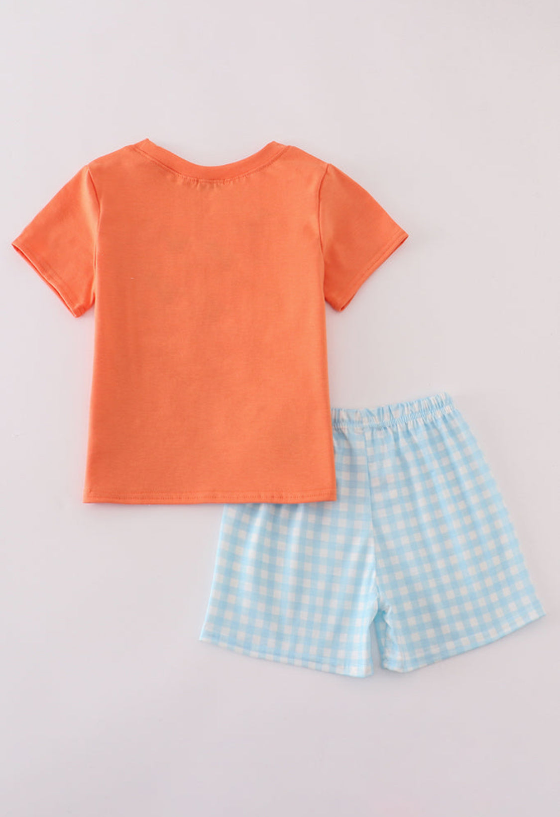 Blue Dinosaur Embroidery Gingham Boy’s Short Set