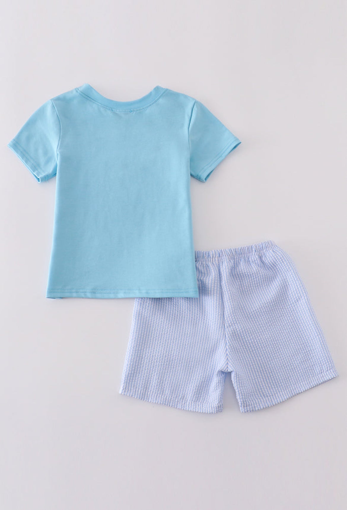 Boy’s Blue Seersucker Whale Embroidery Short Set