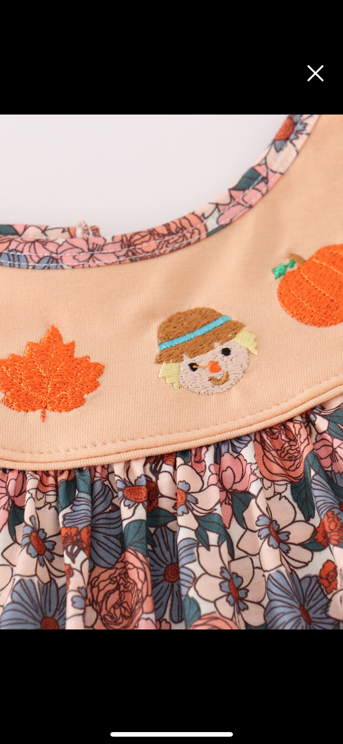 Fall Floral Print Pumpkin Embroidery Girl’s Pant Set
