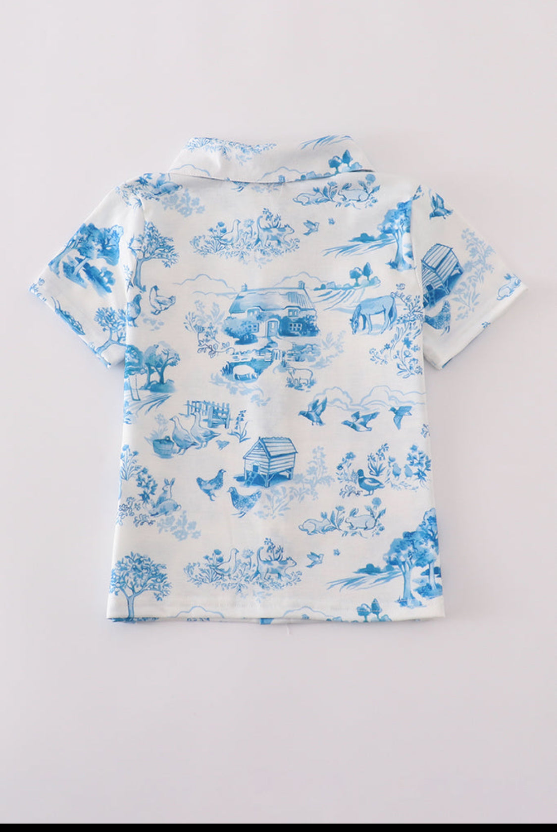 Blue Farm Button down Boy’s shirt